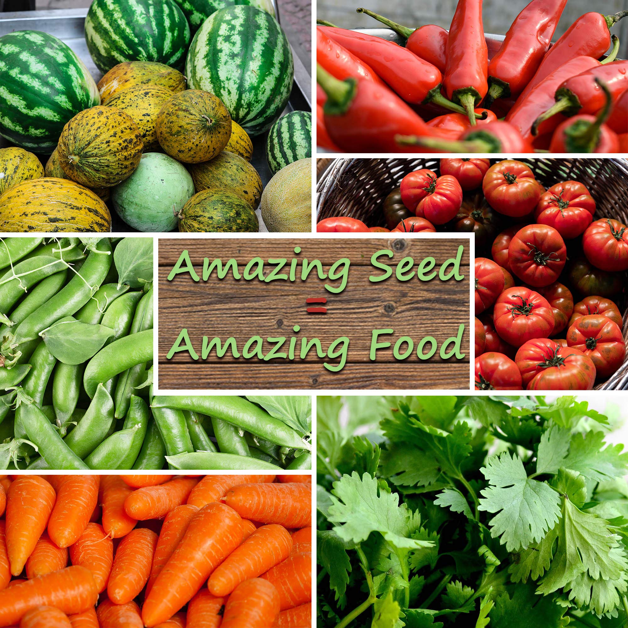 Bug Out Bag Survival Garden Vegetable & Herb Seeds - 12,000+ Seeds - Collection of 19 Heirloom Seed Varieties - Image 6